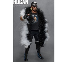 Hulk Hogan Action Figure 1/6 Hollywood Hogan 33 cm